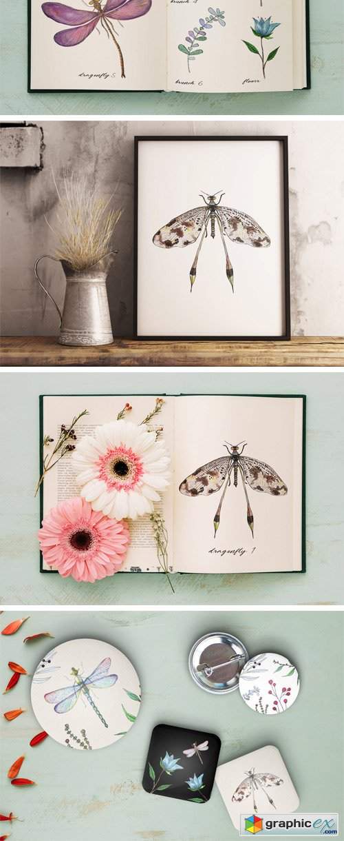Watercolor Dragonflies Set