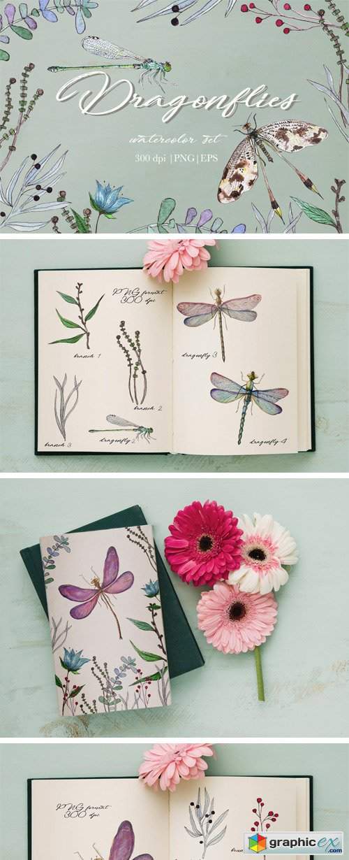 Watercolor Dragonflies Set