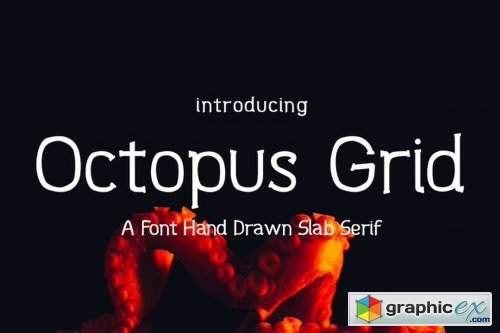 Octopus Grid Font