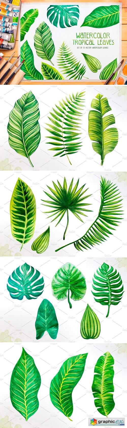 Tropical leaves. Watercolor vector
