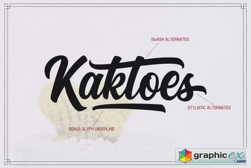 Kaktoes Script Font Family - 4 Fonts