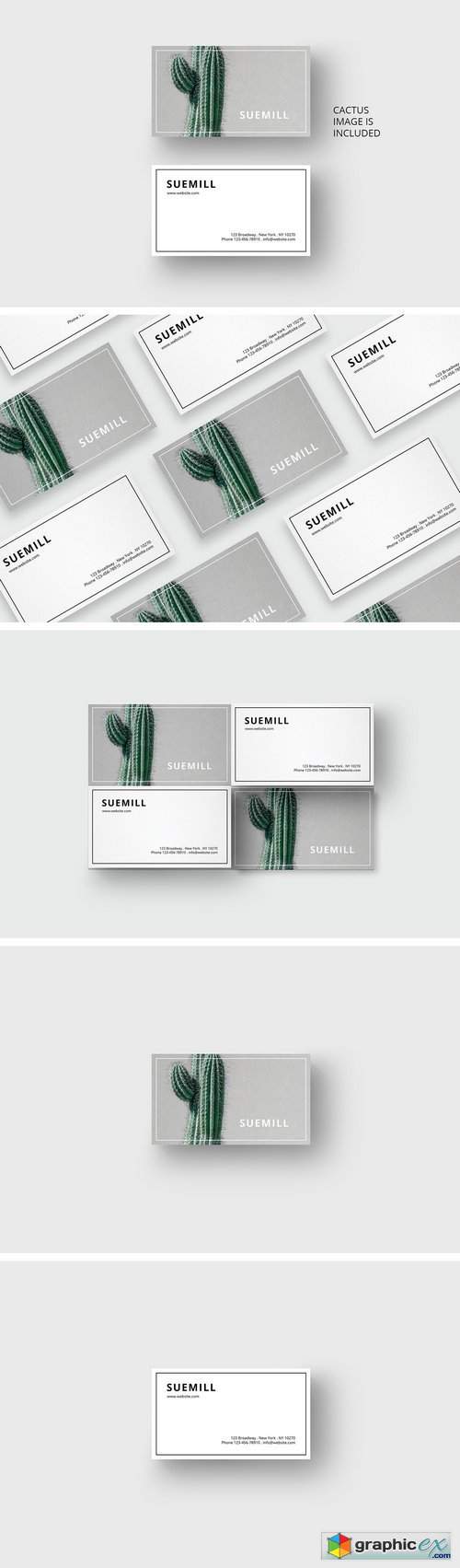 Business card template with cactus