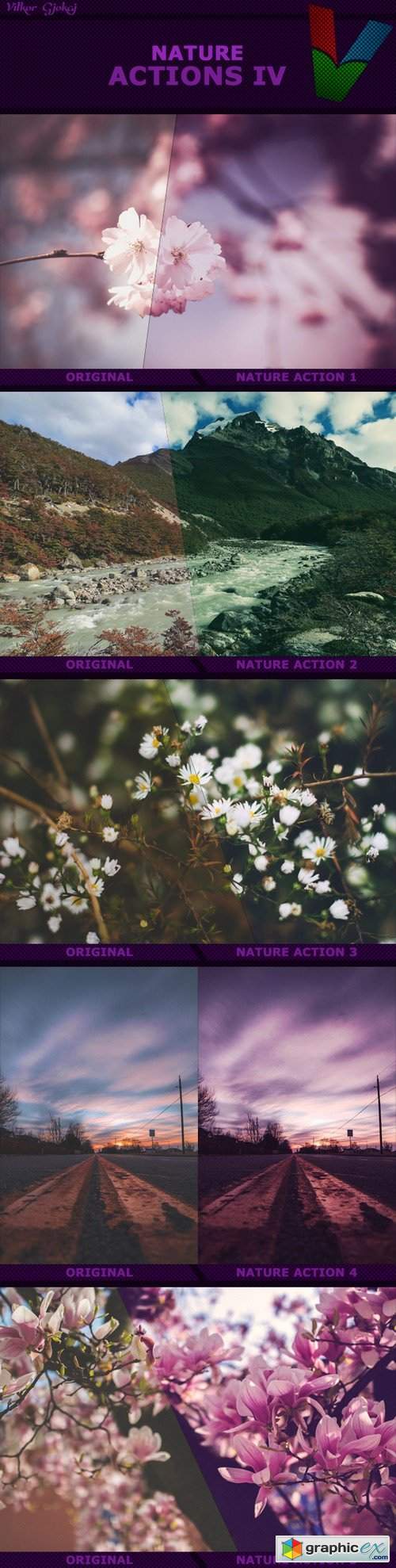 Nature Actions IV