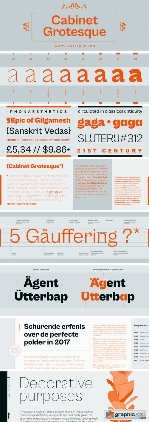 Cabinet Grotesque Font Family