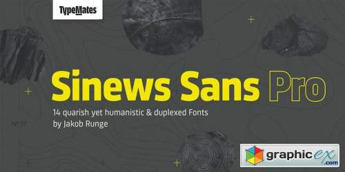 Sinews Sans Pro Font Family - 15 Fonts