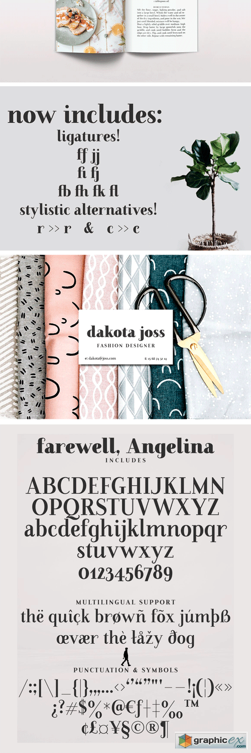 Farewell Angelina Display Font