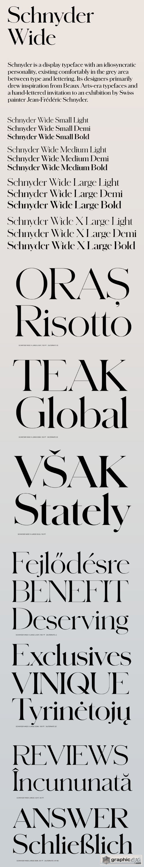Schnyder Wide Font Family