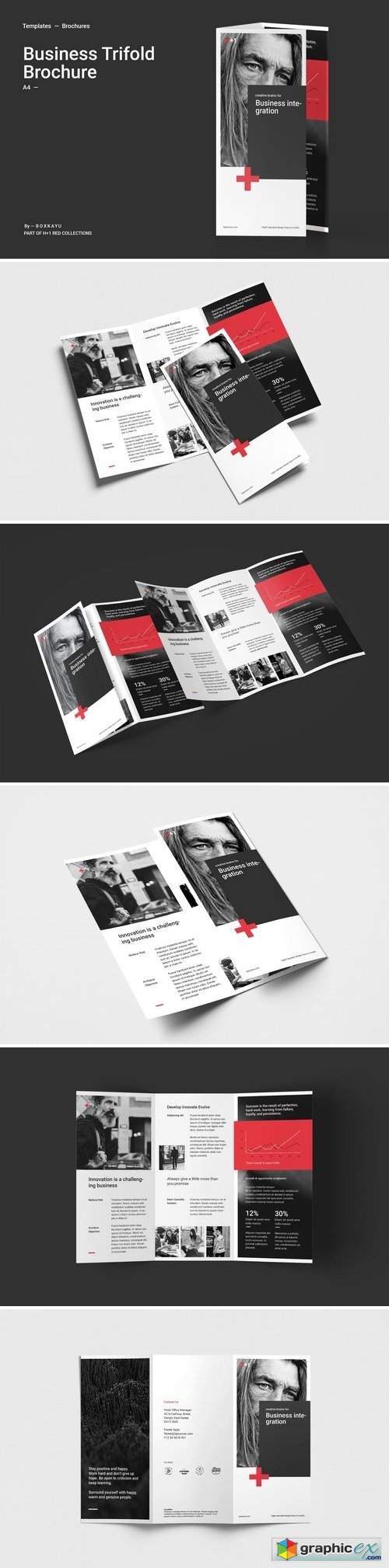 Business Trifold Brochure 2898082