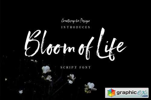 Bloom of Life Script Font