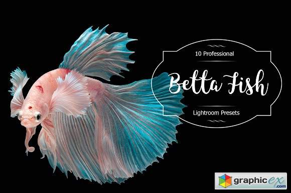 Betta Fish Lr Presets