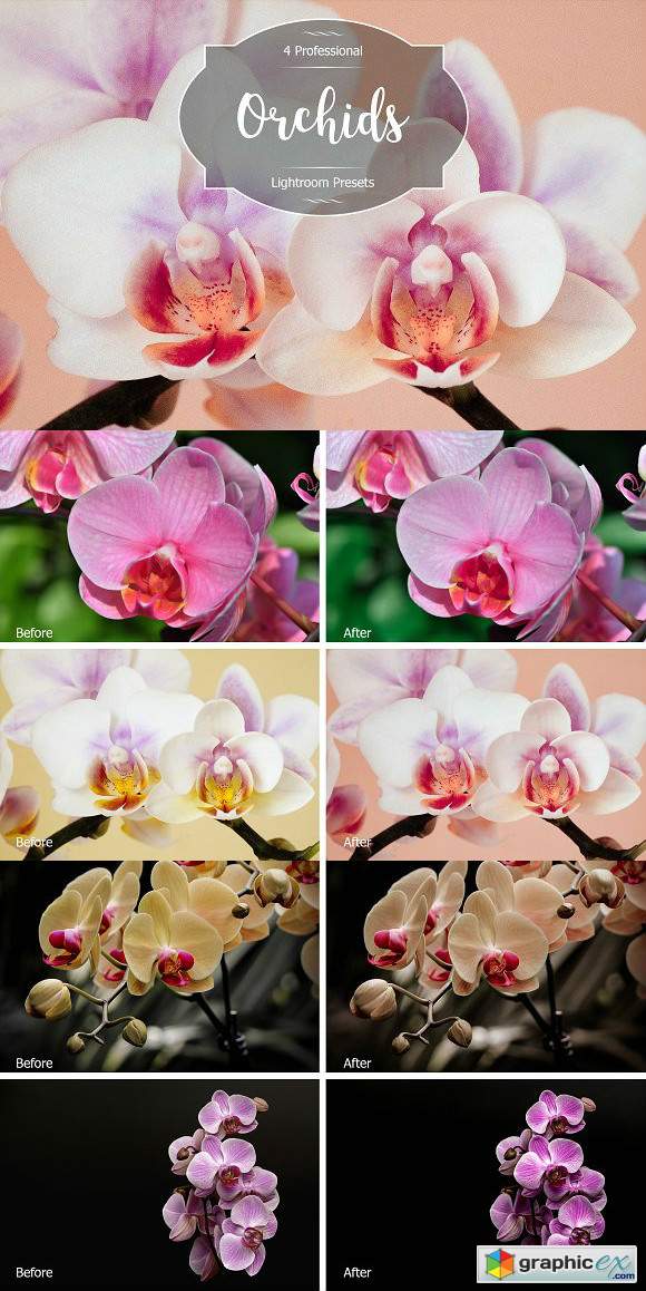 Orchids Lr Presets
