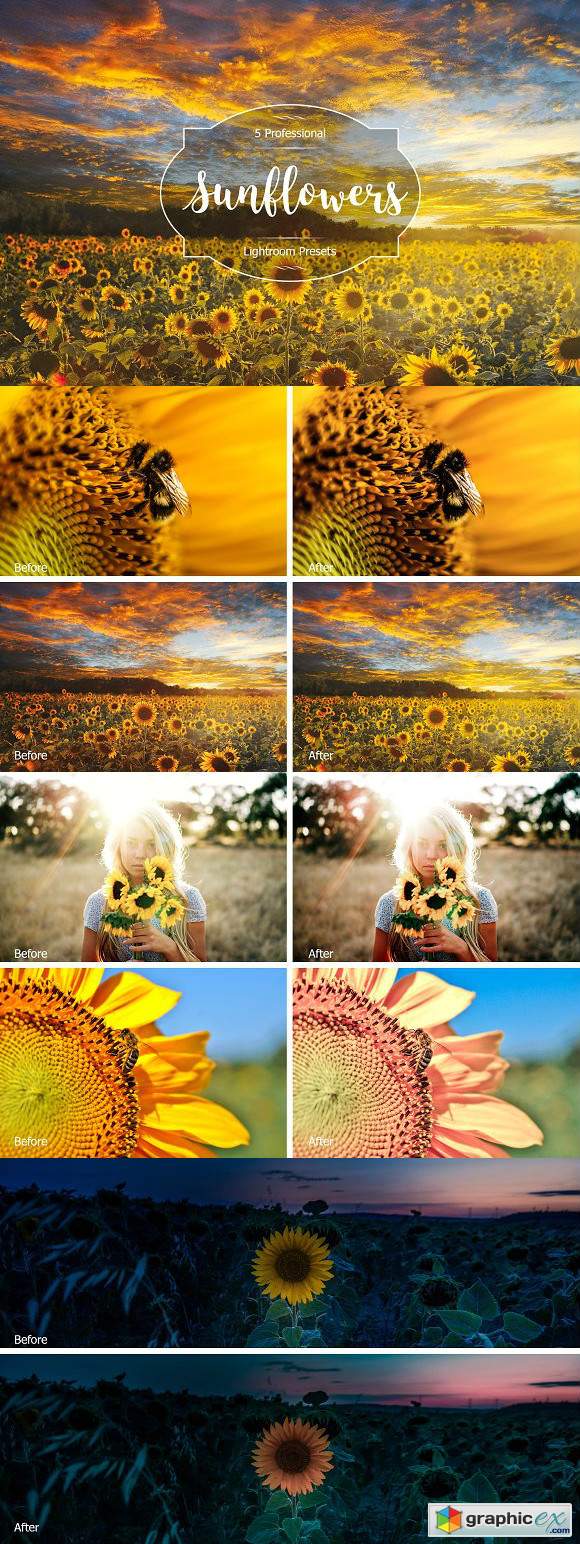 Sunflowers Lr Presets
