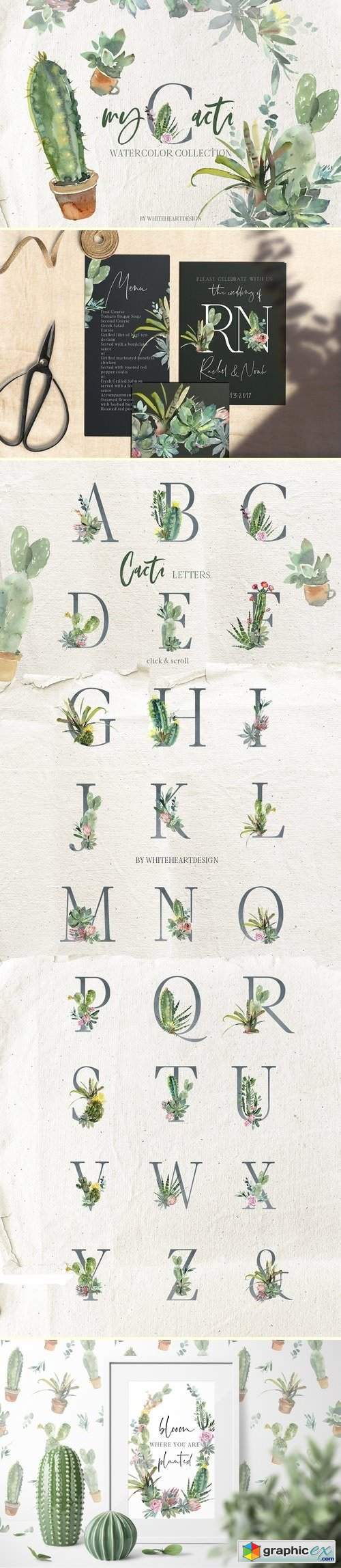Cacti Watercolor Cactuses Clipart