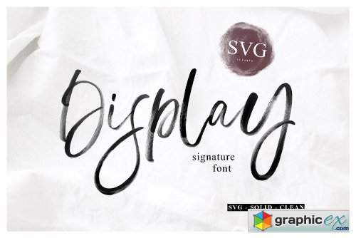 Display Signature Font - SVG