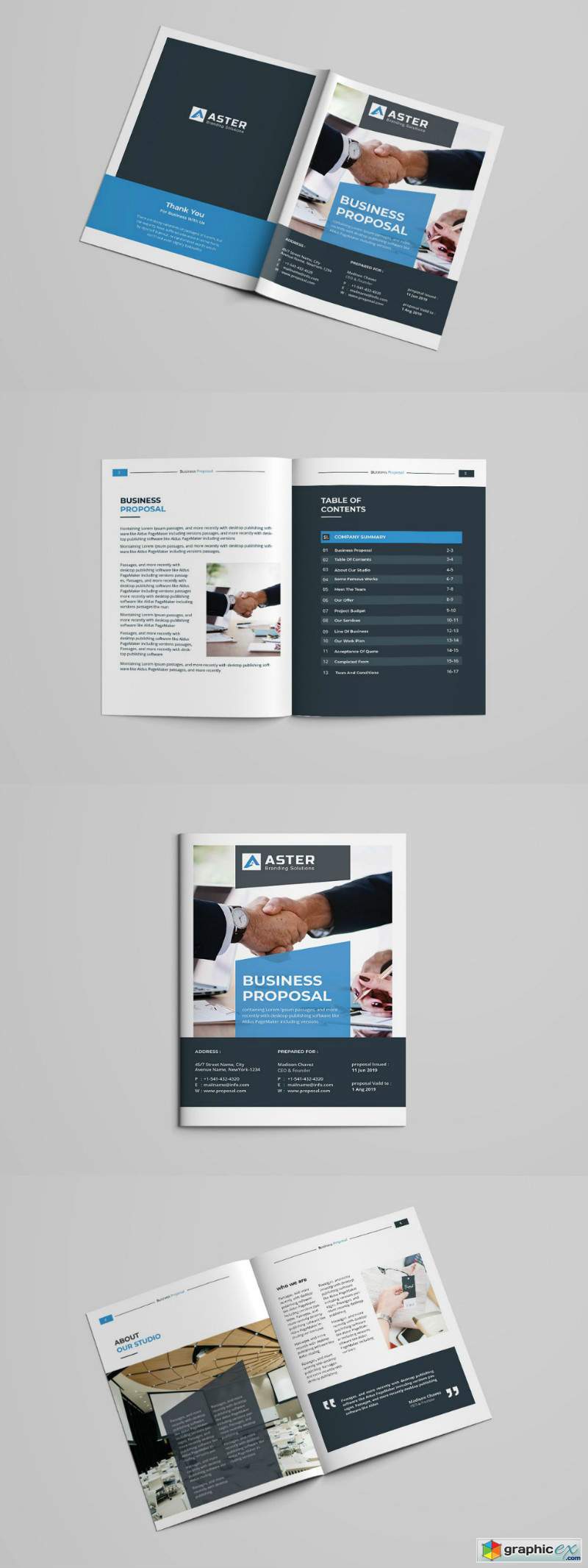 Business Proposal Template 2970998