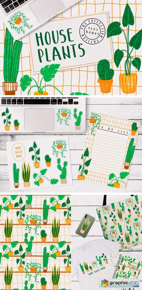 HOUSEPLANTS – PNG & Patterns Pack