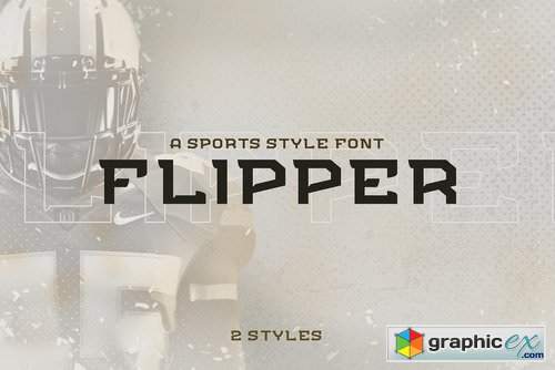 FLIPPER - NFC Font Family 3019946