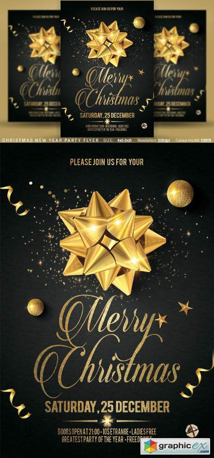 Christmas New Year Party Flyer 3125031