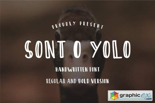 Sont O Yolo - Handwritten Font