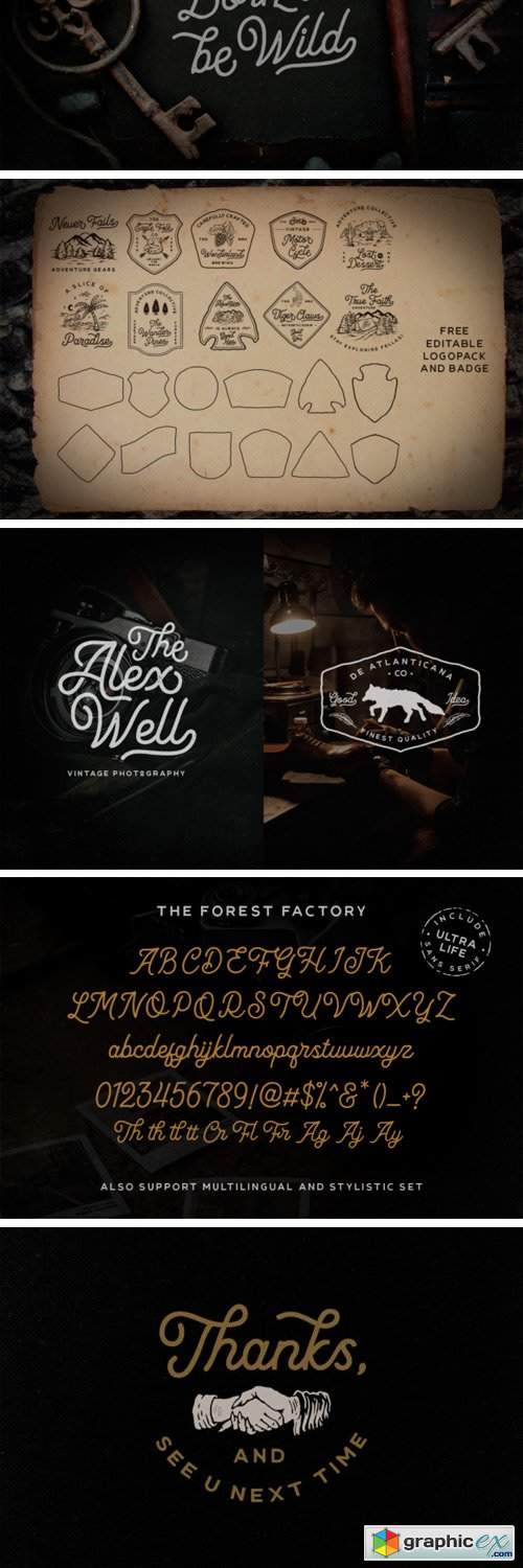 The Forest Factory + Bonus