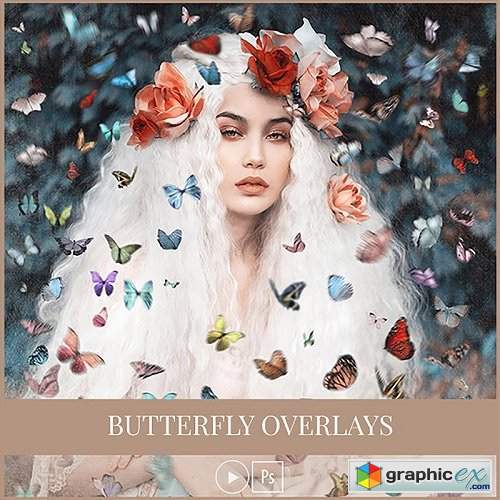 Amanda Diaz - Butterfly Overlays Collection