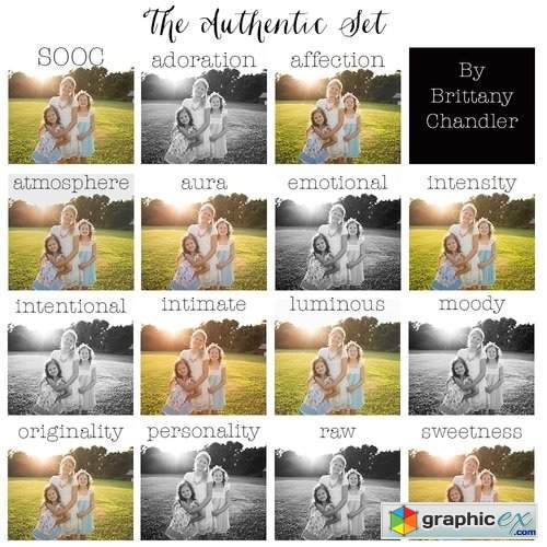 The Authentic Set by Brittany Chandler Presets (LR & ACR)
