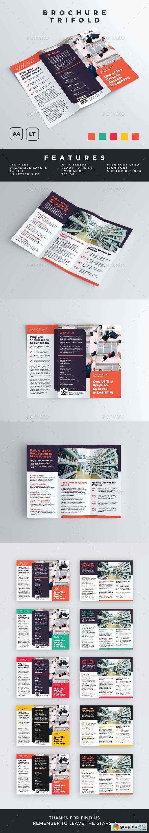Brochure - Trifold 22879400