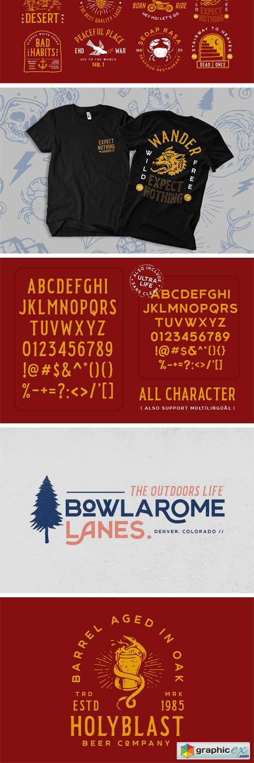 Pearson Typeface- 4 Fonts! (+EXTRA)