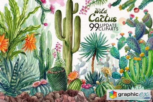 Watercolor Cactuses