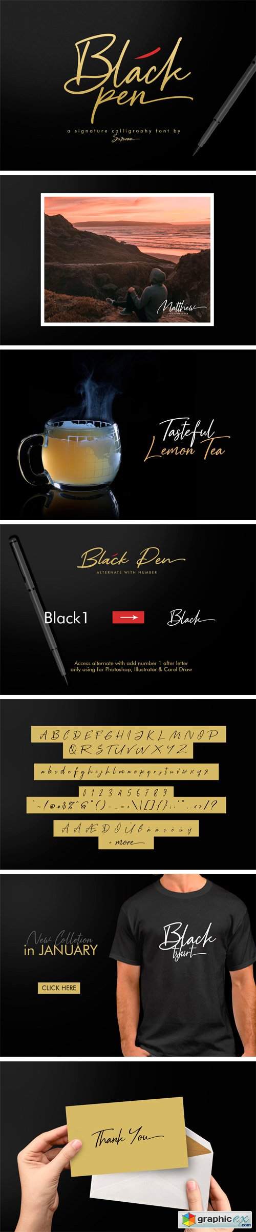 Black Pen Script