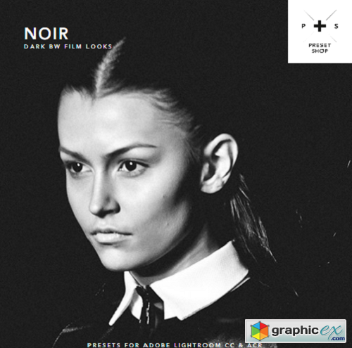 PresetShop +PS Noir Presets for Lightroom & ACR