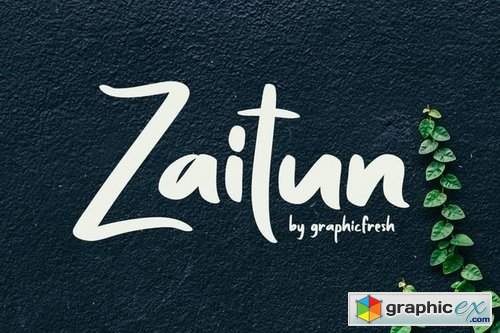 Zaitun A Nature Branding Font » Free Download Vector Stock Image
