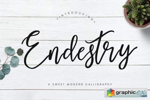 Endestry Modern Calligraphy