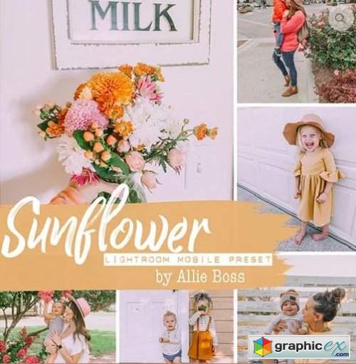 Allie Boss - Sunflower Lightroom & Mobile Presets