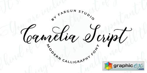 Camelia Script Font Family - 2 Fonts