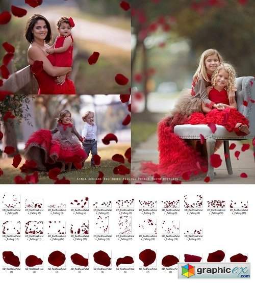 Kimla Designs Red Rose Petals Photo Overlays