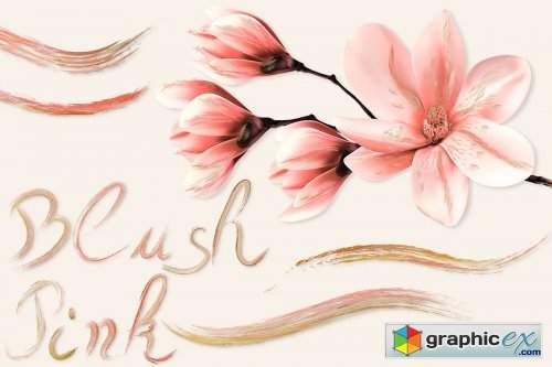 Blush Pink Brushes for Illustrator