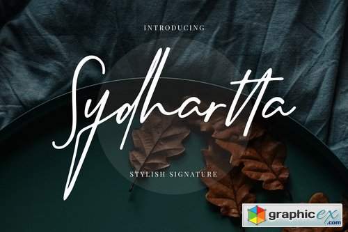 Sydhartta Stylish Signature