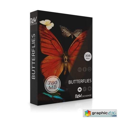 RAWexchange - Butterflies