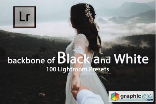Backbone of Black and White Lightroom Presets