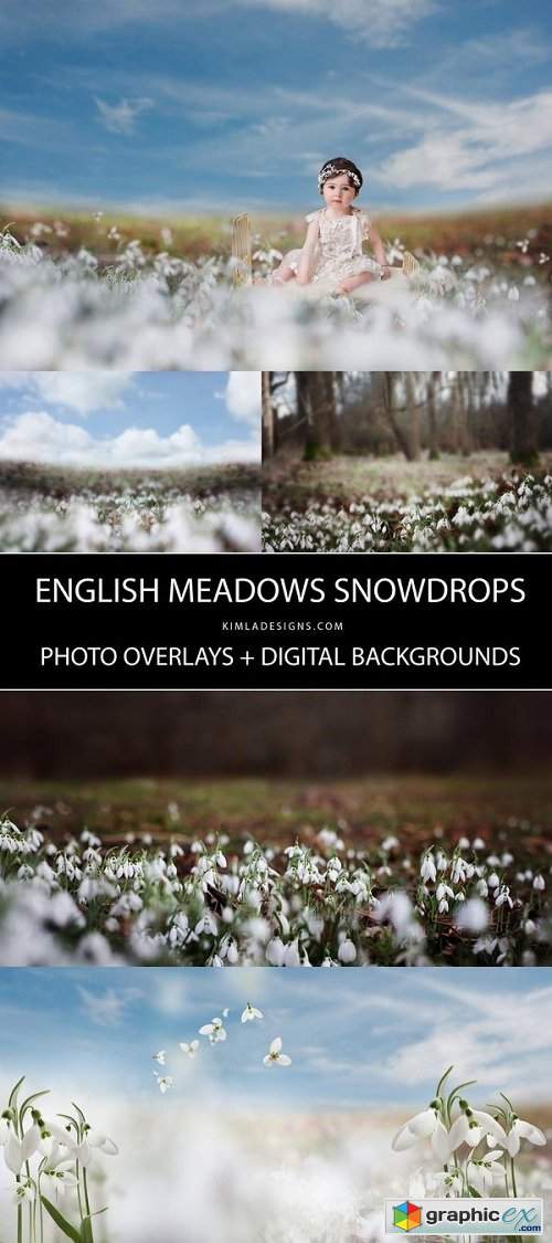Snowdrops Photo Overlays