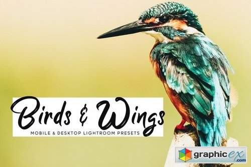 Birds & Wings Mobile & Desktop Lightroom Presets
