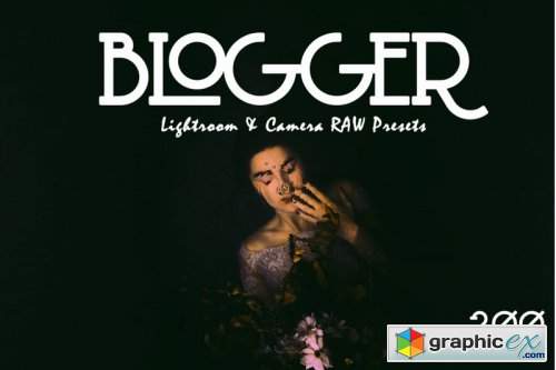 Blogger Lr and ACR Presets