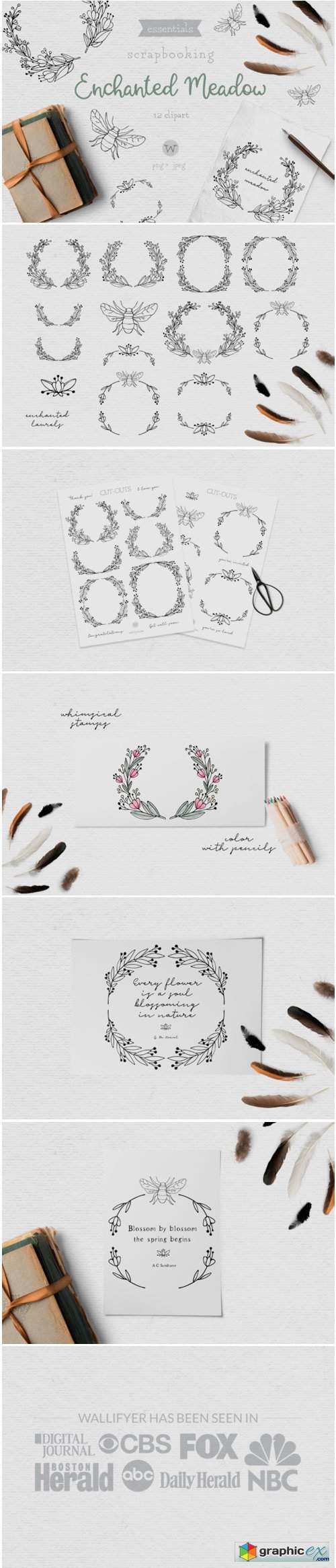 Doodle Flower Clipart and Digital Stamps
