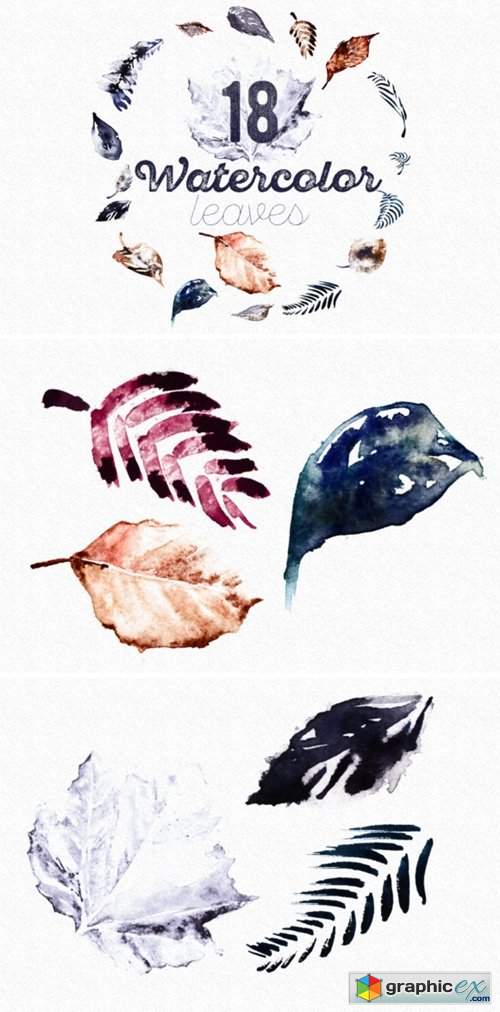 Set of 18 Watercolor Handpainted Leaves