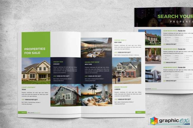 Real Estate Brochure 3861835
