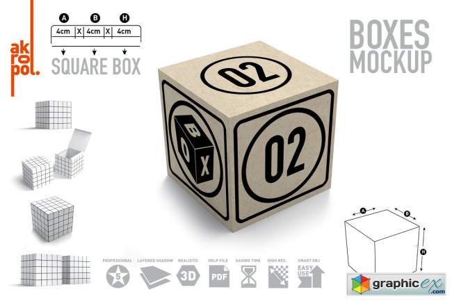 Box Mock Ups -02