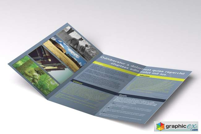 Trifold Brochures Bundle 02