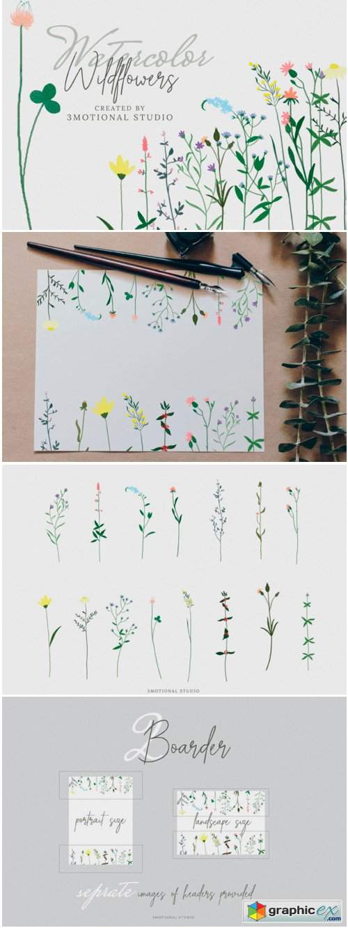 Watercolor Wildflowers High Res Png