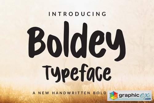 Boldey Typeace - A New Handwritten Bold Font